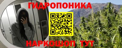 ALPHA PVP Аргун