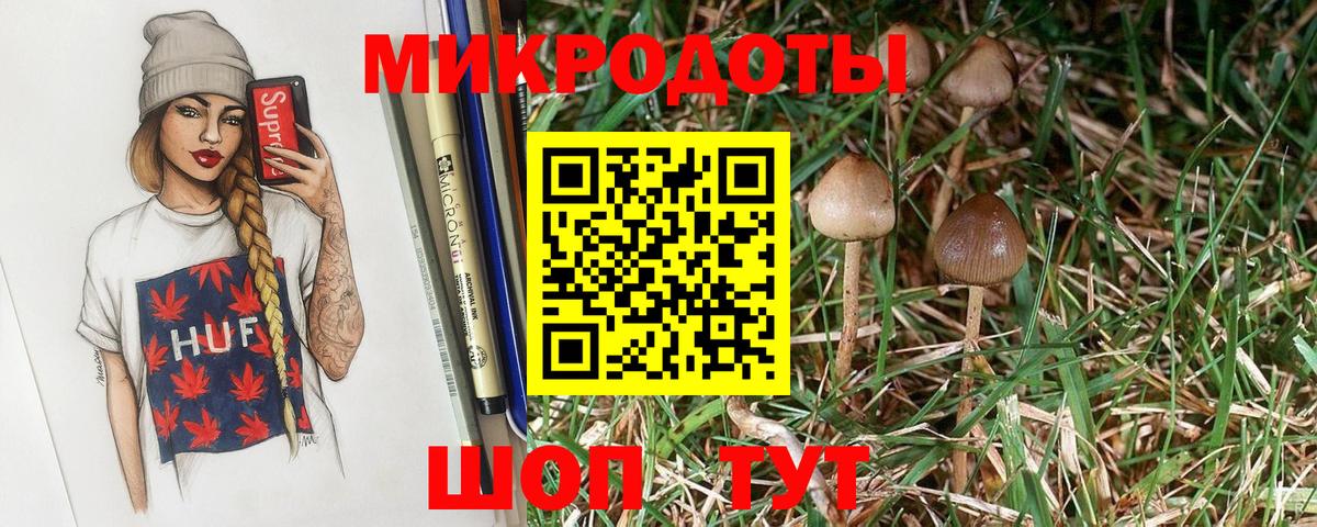 Алексин  Псилоцибиновые грибы Psilocybe  Вход с VPN 